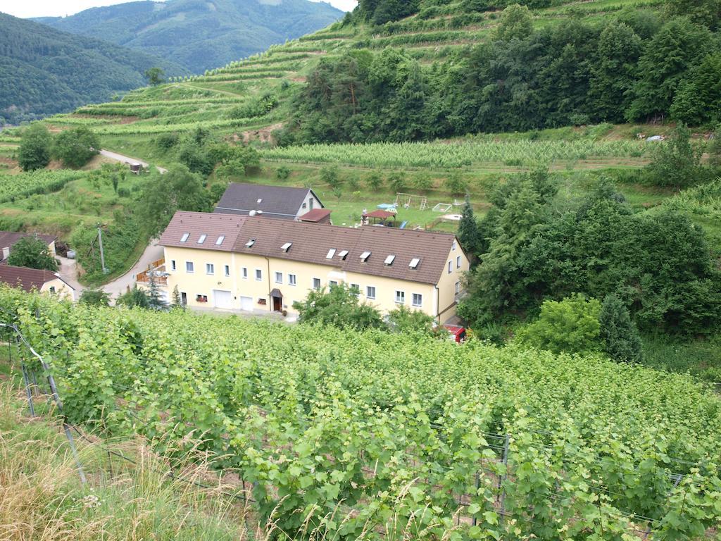 Weinbau Weidenauer Apartment Wosendorf in der Wachau Exterior photo